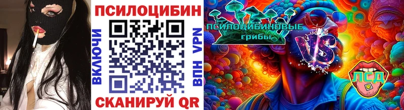 omg ссылки  Пласт  Псилоцибиновые грибы MAGIC MUSHROOMS 